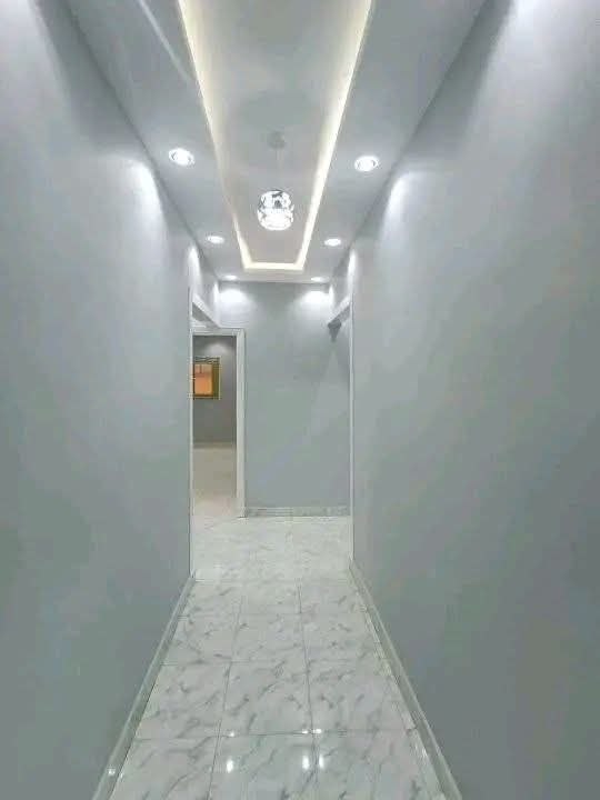 مقاولات 14